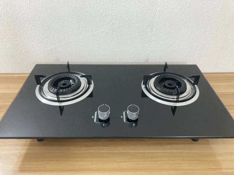 Glass Top 2 Burner Gas Stove