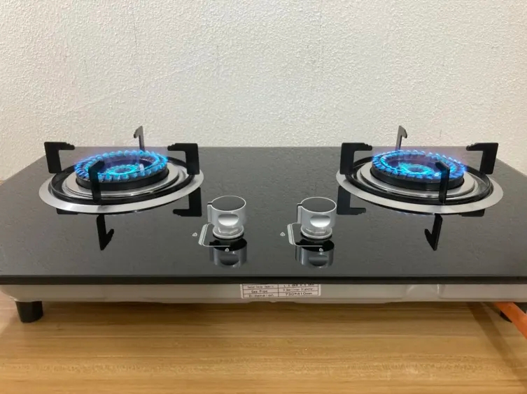 Glass Top 2 Burner Gas Stove