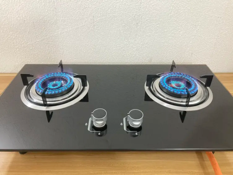 Glass Top 2 Burner Gas Stove